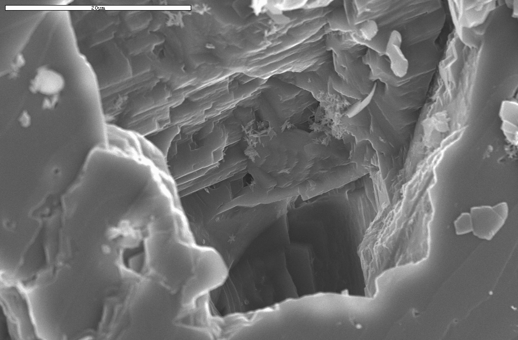 SEM image
