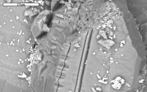 SEM image