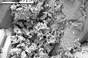 SEM image