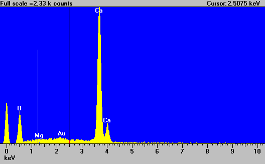 EDS spectrum