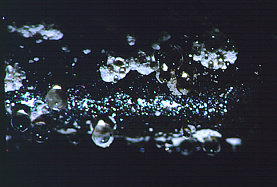 Actinomycetes-cropped-small.jpeg