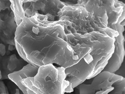 SEM image